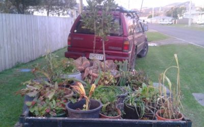 Edible Gardens On The Move